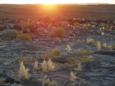 v3/38/1938/3/51692199.namibia2005136.jpg