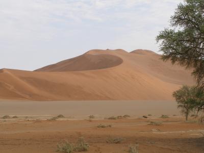 on the hot way to sossusvlei