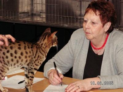 Judge: Elisabeth Raab Alvarsson