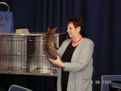 Elisabeth and Magic
