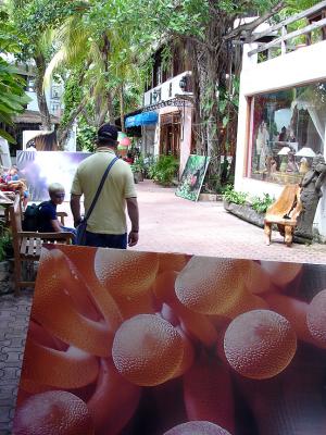 Playa Del Carmen Street