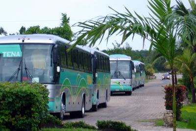 Busses