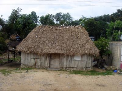 Road to Coba hut