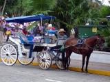 Horse and buggy