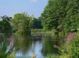 Mill Pond In Summer