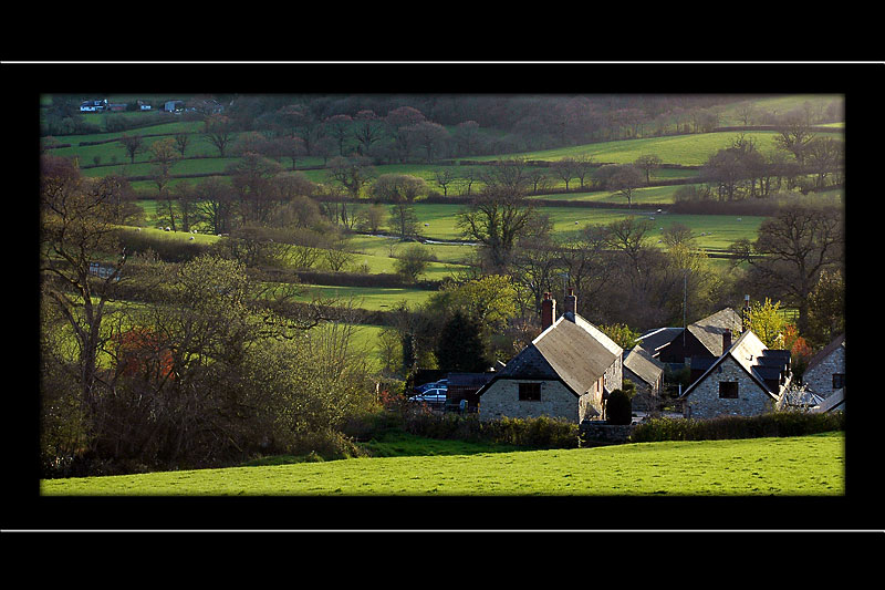 Farm near Honiton, Devon