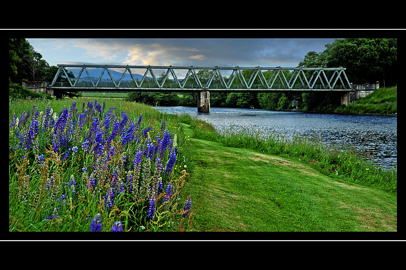 Bridge over the Spey, Cromdale  (2262)