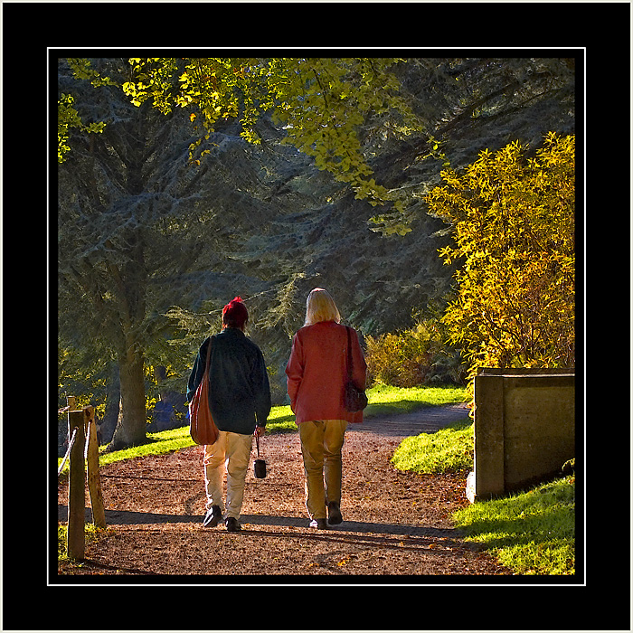 Walking with a friend, Stourhead, Wiltshire