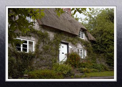 Another thatched house, Melbury Osmond (2924)