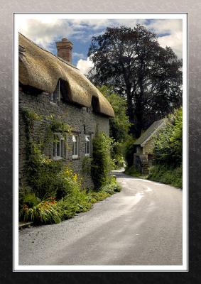 Looking down the hill, Melbury Osmond, Dorset