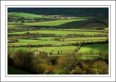 Fields near Beaminster, Dorset