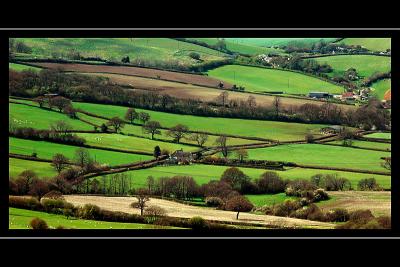 Country lanes, Dorset