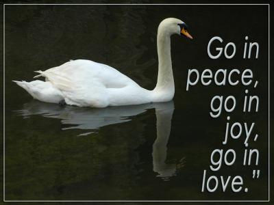 'Go in peace' slide from the Birds series