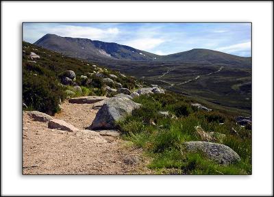 Footpath on the Cairngorms, Scotland