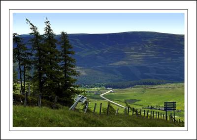 In the heart of the Cairngorms, Scotland