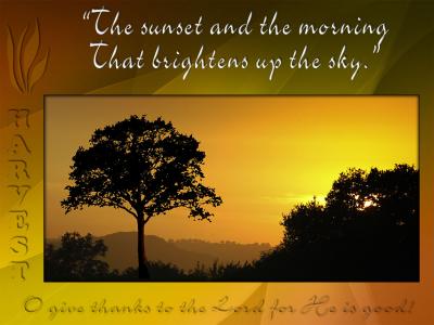 'The sunset and the morning' slide from the new Harvest series