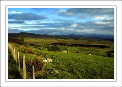 Between Tomintoul and Grantown, Morayshire, Scotland