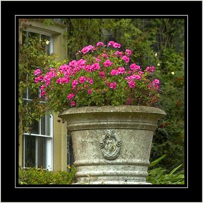 Huge tub, Mount Stewart, Newtownards, County Down, N. Ireland