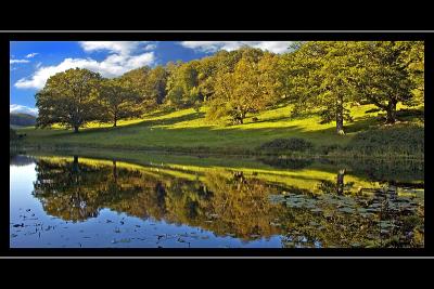 Autumnal reflections, Stourhead, Wiltshire