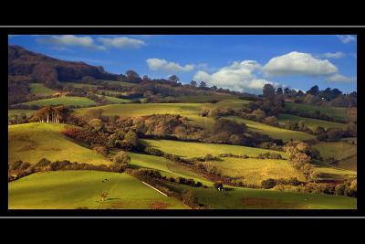 Hills around Beaminster, Dorset
