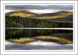Colours, Loch Garten, Invernesshire, Scotland