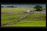 Dry stone walls, Yorkshire Dales