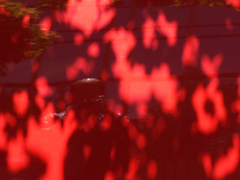 03/06/05 - Red