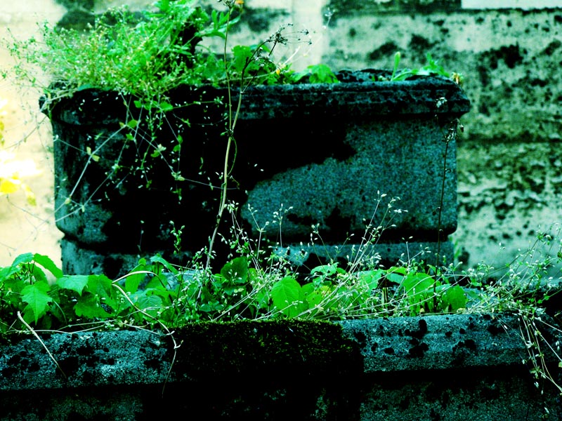 Abandonne
