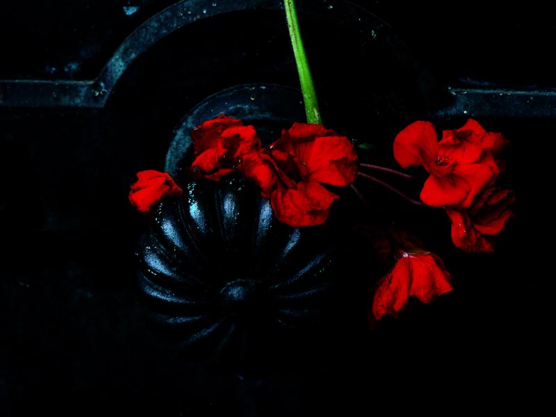 Le rouge et le noir