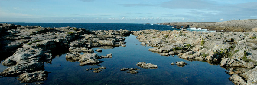 Toujours quiberon