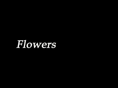 v3/38/303238/3/44520447.Flowers.jpg