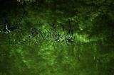 28/08/05 - Before the flood