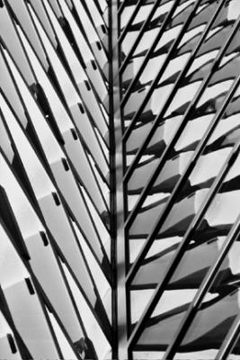 Seattle Library BW13 Transposed