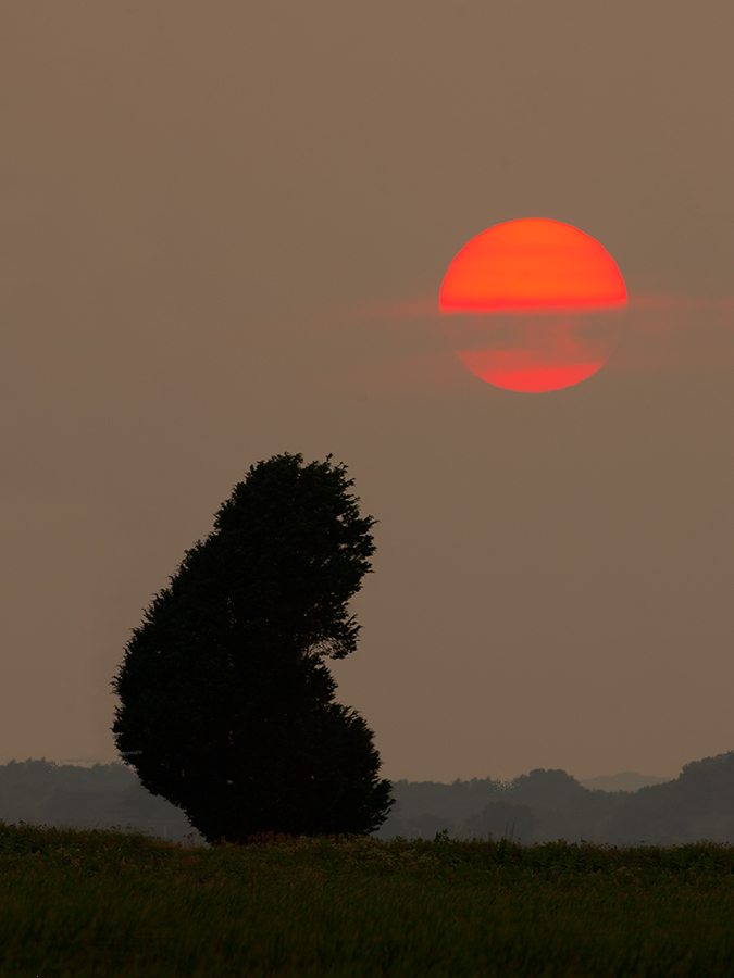  Plum Island, Parker River National Wildlife Refuge Pacman Sunset. North Field