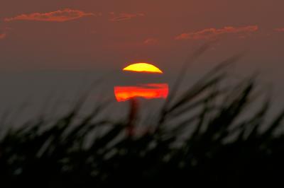v3/38/391838/3/46174639.SunsetOvertheMarshGrass.jpg