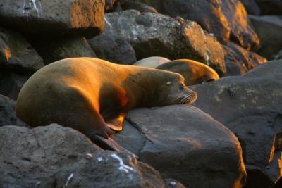 Sunset on the Rocks