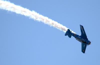v3/38/459838/3/44263474.37a.jpg