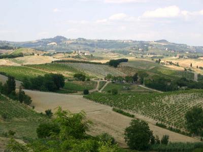 View from Certaldo