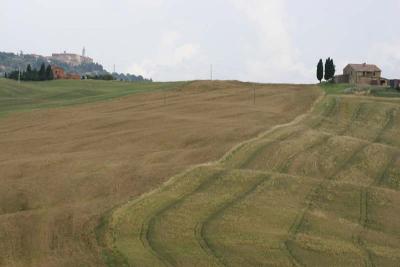 Near Pienza