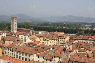 Piazza Anfiteatro and San Frediano from Torre Guinigi