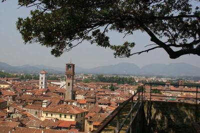 From Torre Guinigi