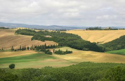 Near Monte Oliveto Maggiore