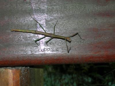 DSCN0376.JPG