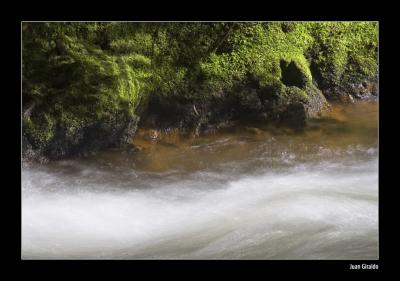 _MG_3988.jpg