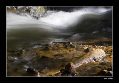 _MG_3990.jpg