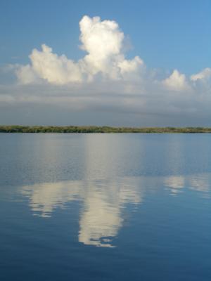 Cumulus Clouds over Rio Soto la Marina