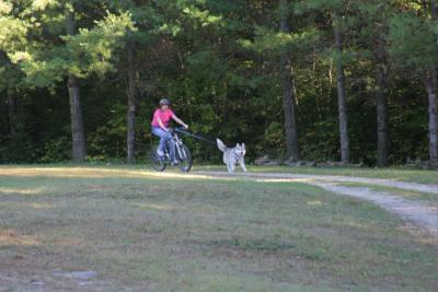 IMG_5020.JPG