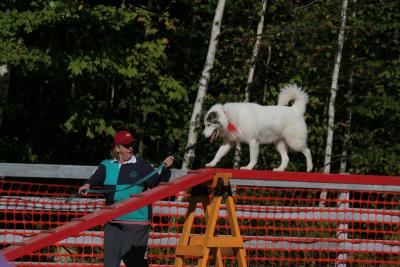 IMG_5772.JPG