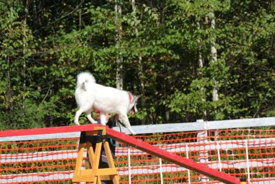 IMG_5774.JPG