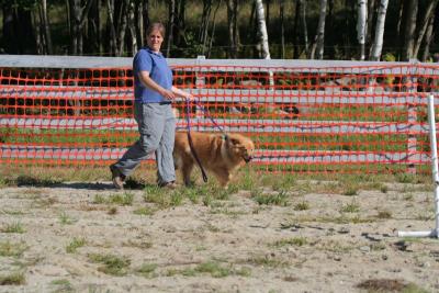 IMG_5775.JPG
